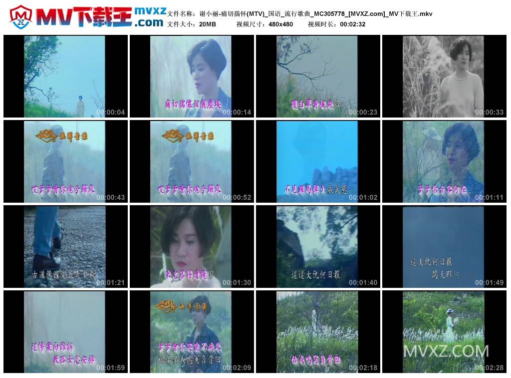 谢小丽-痛切孺怀(MTV)_国语_流行歌曲_MC305778